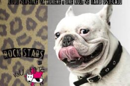 Keksi za pse - Rock Stars Mix