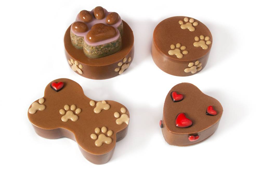 Torte za pse - CHOCO LOCO - izaberi svoju "čoko" tortu!