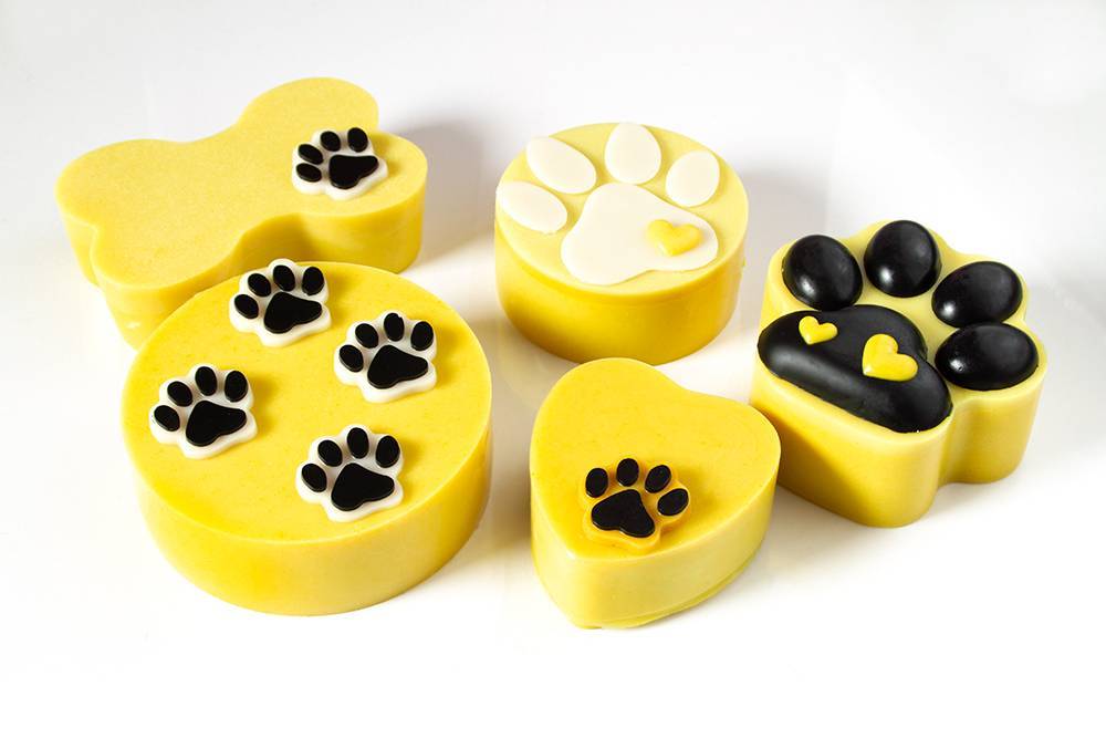 Torte za pse - AURORA - izaberi svoju sunčanu tortu!