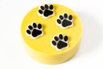 Torte za pse - AURORA - izaberi svoju sunčanu tortu!