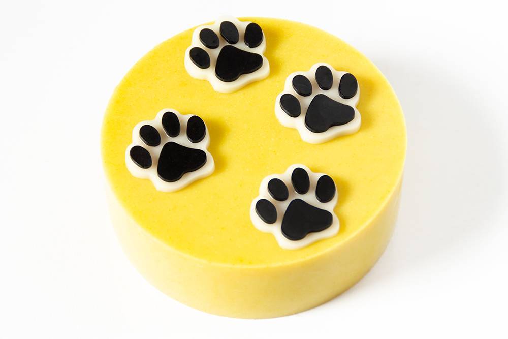 Torte za pse - AURORA - izaberi svoju sunčanu tortu! Torte za pse - AURORA - izaberi svoju sunčanu tortu!