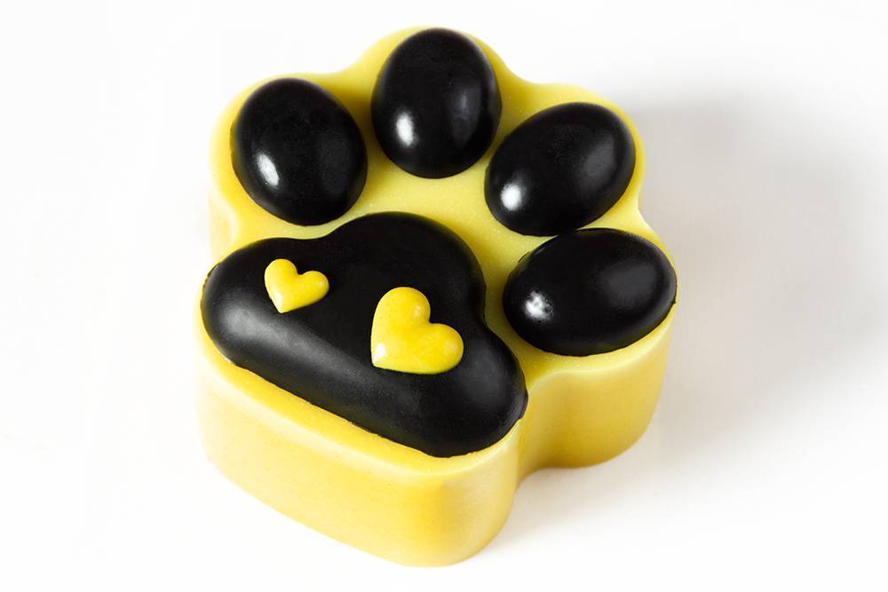 Torte za pse - AURORA - izaberi svoju sunčanu tortu! Torte za pse - AURORA - izaberi svoju sunčanu tortu!